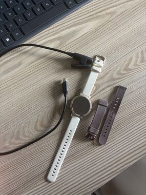 Garmin Lily - Charger and Band Included